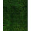 Tapis unique vert / gris / noir 6 pi 2 po x 8 pi 10 po Overyed