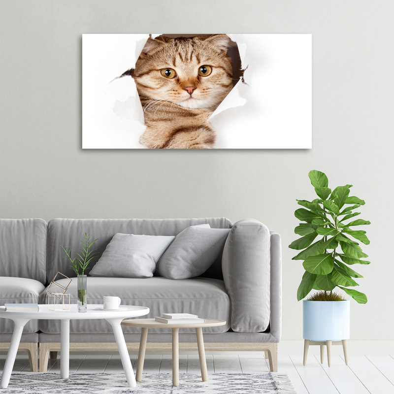 Cat - No Frame Print on Canvas