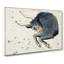 Astronomical Zodiac Chart of the Taurus - Wrapped Canvas Drawing Pint - Wrapped Canvas-55367458