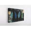 " Feather Watercolor Collection " Painting Print-1361462185