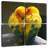 Brampt Lovebirds Snuggle-109153837