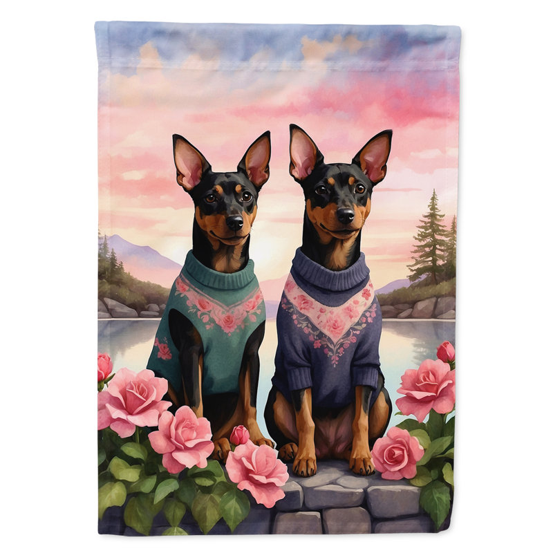 Double Sided 15.5'' H x 11.25'' W Polyester Valentine's Day Garden Flag