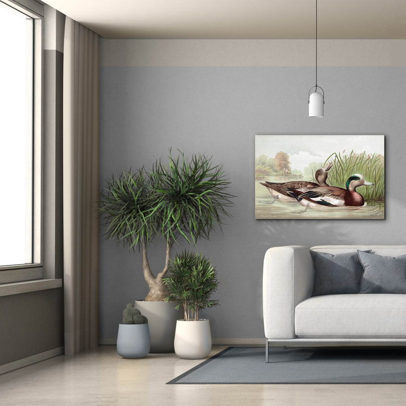  «Resting Duck 1» par Stellar Design Studio, art mural sur toile, 40 po x 26 po
