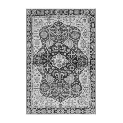 Antojuan Oriental Indoor Rug