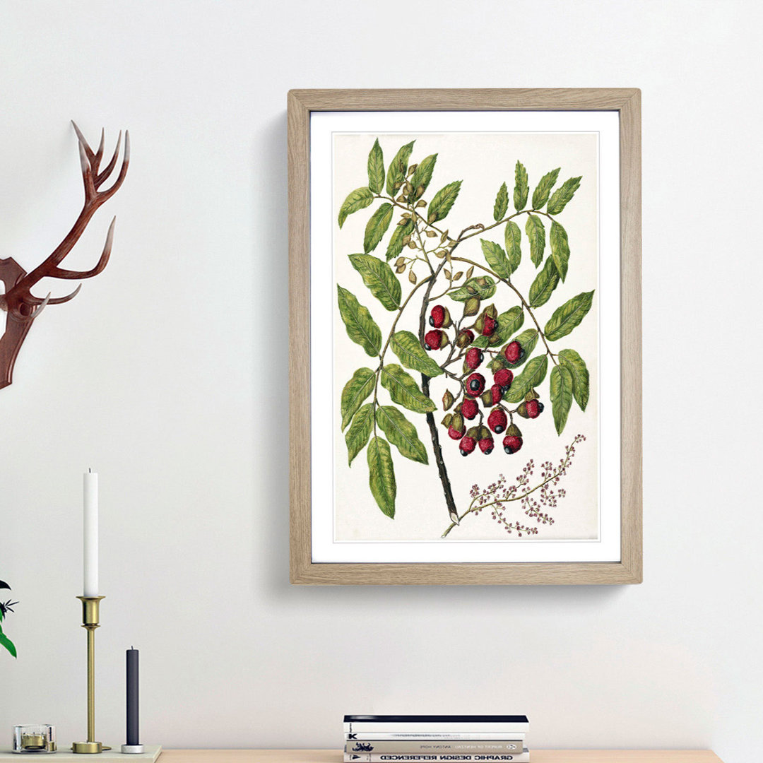 Titoki Flowers by Sarah Featon - Picture Frame Painting Print