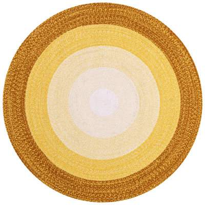  Ombre Hand Braided Wool Rug