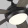Stoller 44'' Ceiling Fan with LED Lights