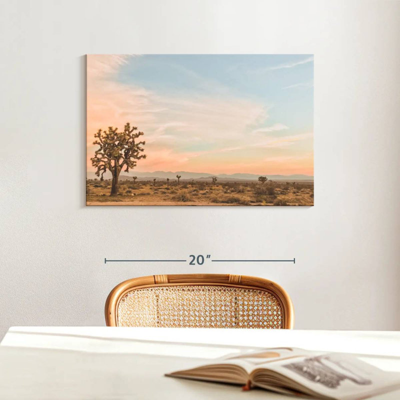 Paysage désertique d'Alvord, H 16 po x l 24 po