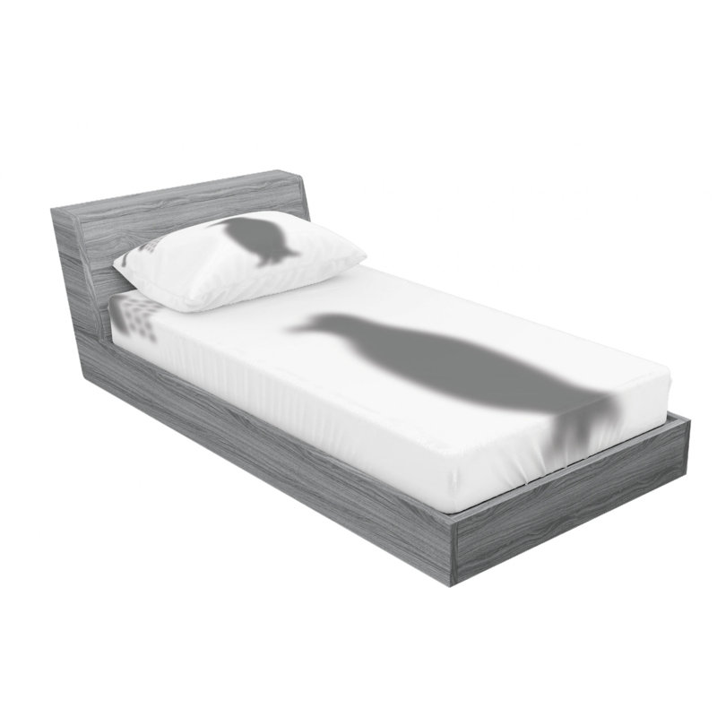 Microfiber Sheet Set, Twin XL Sheet Set with Fitted Sheet