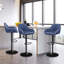 Bigvai Adjustable Height Bar Stool-1786615366