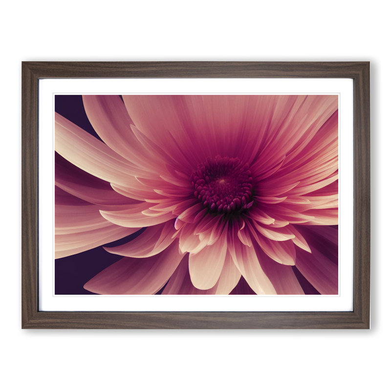 Cute Chrysanthemum Flower Vol.2 - Framed Print, 34cm H x 46cm W x 2cm D, Walnut