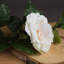 Arrangement
