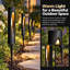 Ensemble de 6 lampes de jardin modernes pour allée extérieure
