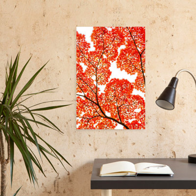 KUNIHIRO TAKUMA - Wrapped Canvas Print