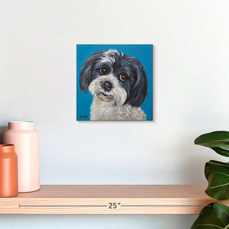 Maltais Shih Tzu Mix Maggie, H 10 po x l 10 po