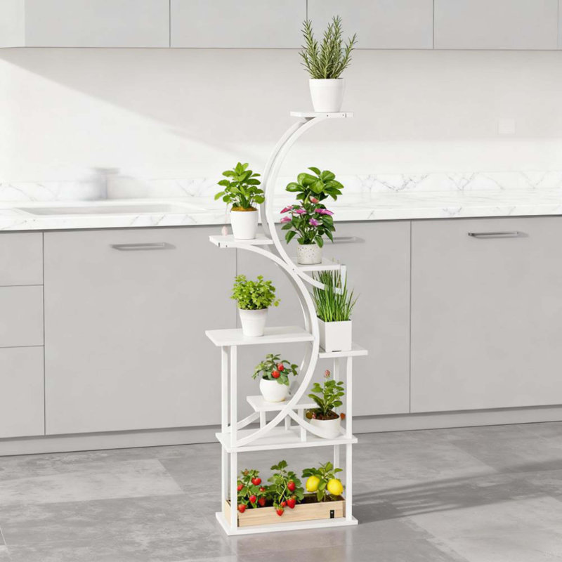 Support d'angle pour plantes multiples, support pour plante, étagère en forme de S à 8 niveaux, Blanc