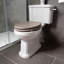 White Stone Courtez LPF Elongated Floor Mounted Kit (Seat Not Included)