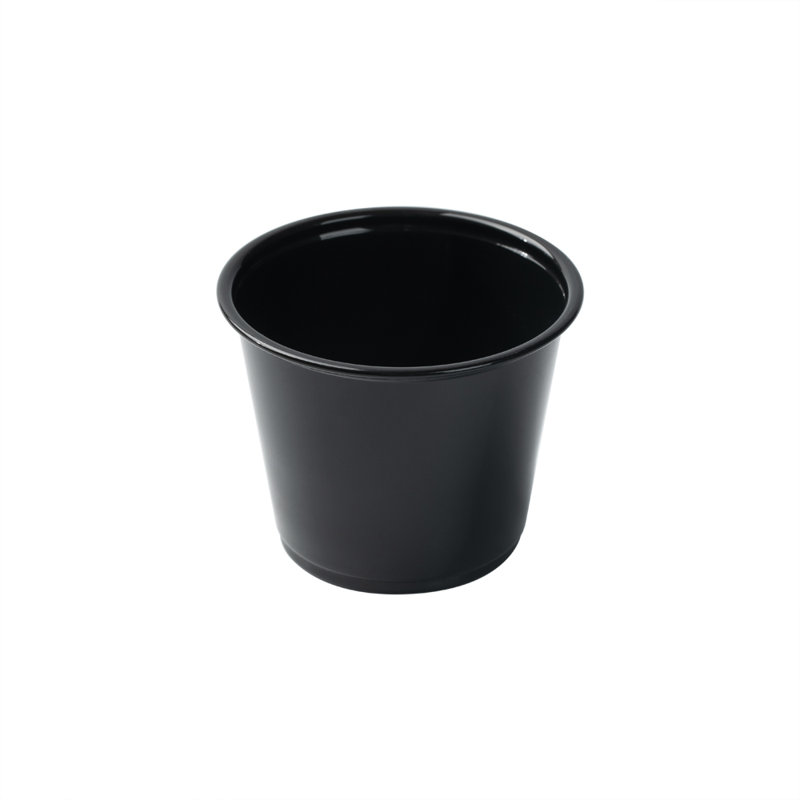 Disposable Tableware