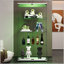 Vitrine à deux portes avec 4 lumières DEL et vitrine au sol pour mettre en valeur des objets de collection-919701080