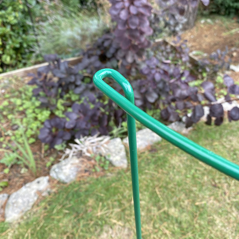 Aiedan Metal Weather Resistant Plant Support, 90 x 52 x 25 cm