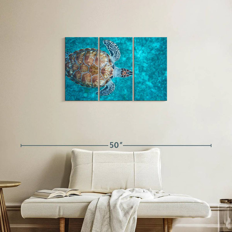 Natation tortue imbriquée, H 20 po x l 33 po