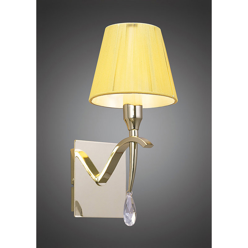 Yuri Armed Sconce, Polished Brass, Yellow, Yes