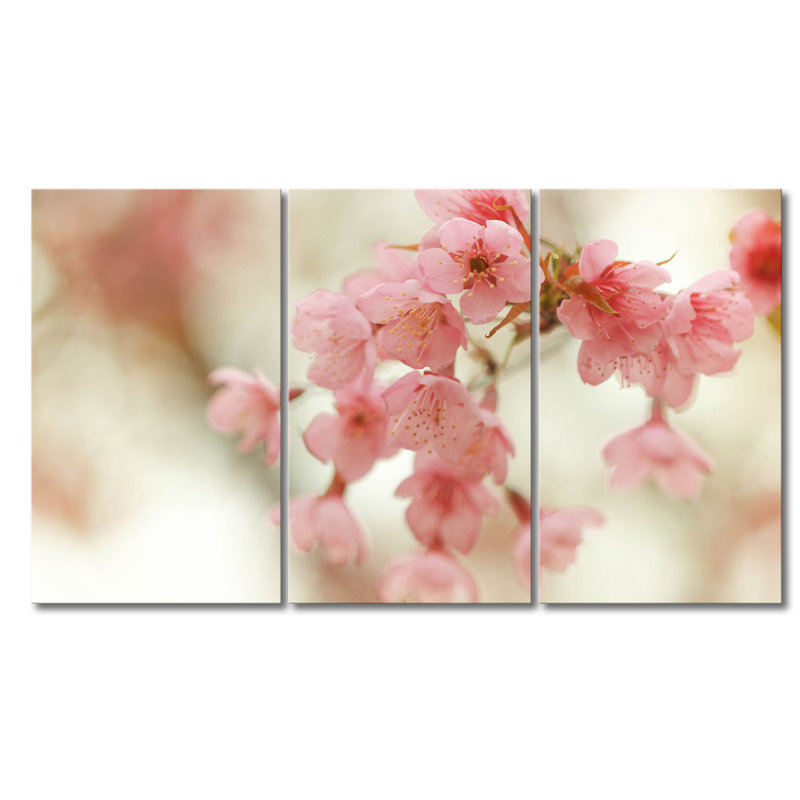 3 Piece Stretched On Wooden Frame Print on Canvas