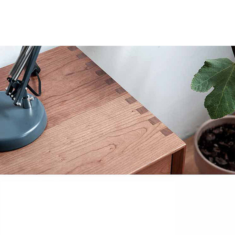 Simple black walnut TV audio-visual cabinet
