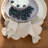 4-Piece Cotton Printed Scalloped Napkin Set With Check Pattern, Multicolor