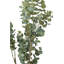 130cm Faux Eucalyptus Tree in Fibrestone Pot-1203865729