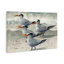 «Birds on Sandy Beach» par Christine Reichow-614534876