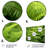 Plants & Flowers Wall Decor on Metal