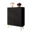 Autin Sideboard with 2 Doors-921469115