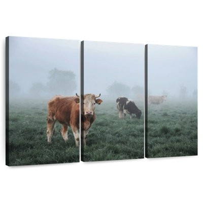 Foggy Cows