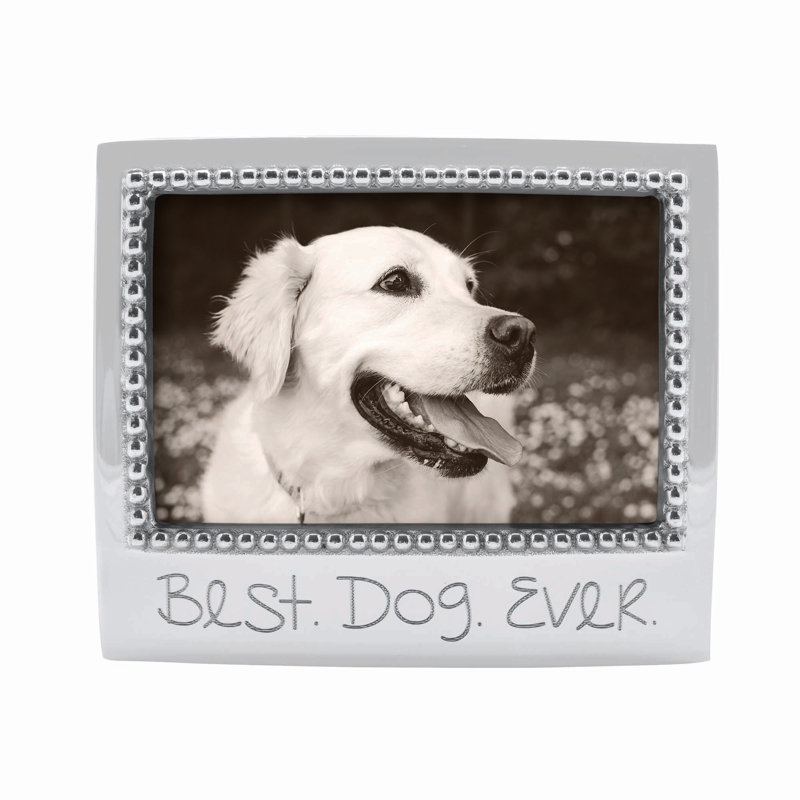 Expressions Metal Picture Frame
