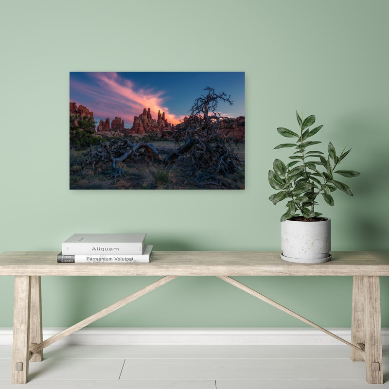 Arbre torsadé, désert, coucher de soleil coloré, paysage serein dramatique, impression d'art mural, H 24 po x l 16 po