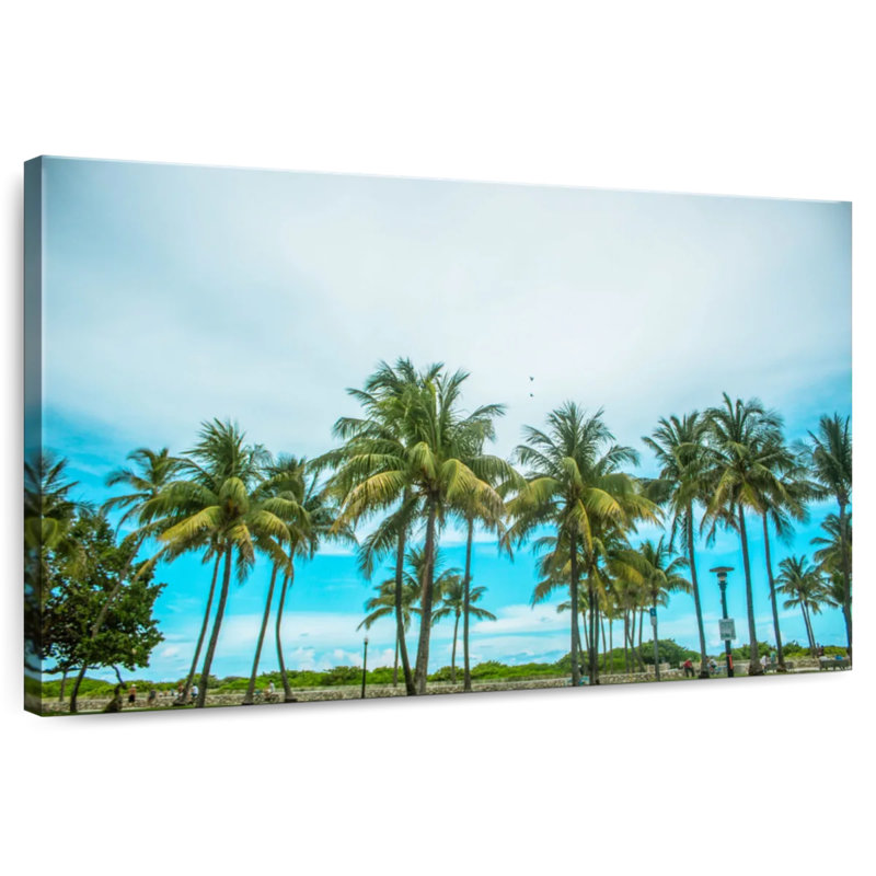 Cocotiers Gillard, Floride, H 16 po x l 24 po