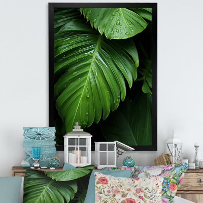 Palm Leaves Serenity  Palm Trees Wall Art Palm Canvas Print