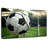Sireci Soccer Goal