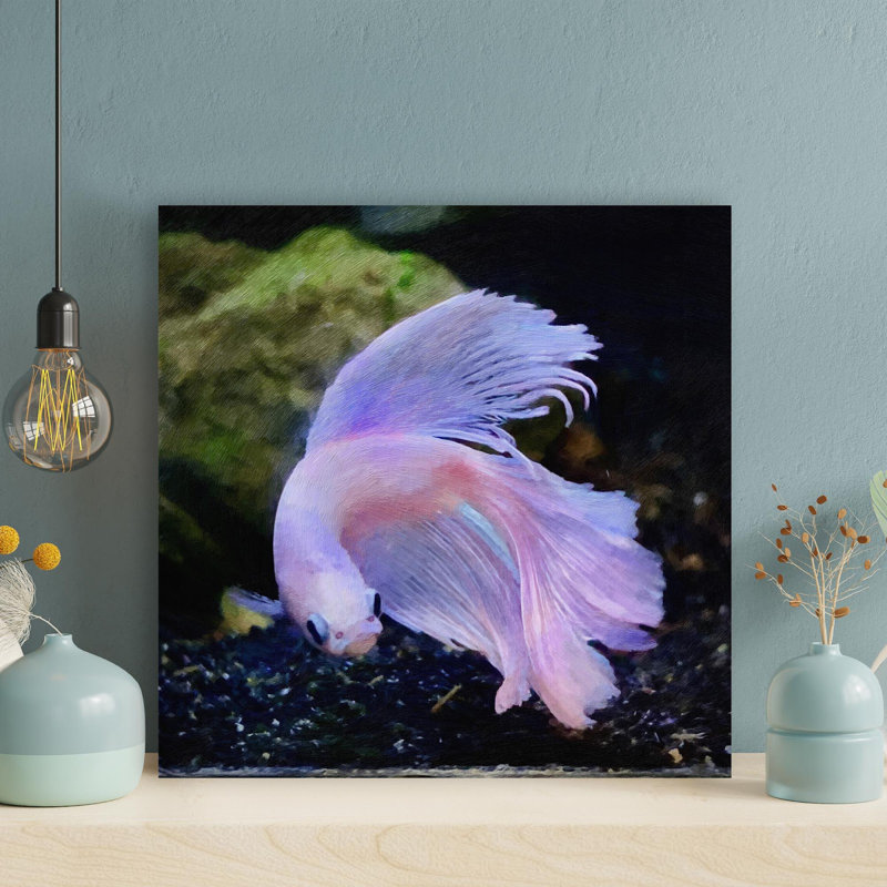 «A Pink Siamese Fighting Fish», reproduction d'art graphique carré sur toile tendue, H 16 po x l 16 po
