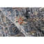 Tapis de qualité supérieure en polyester à bordure transitionnelle Elynna-68027037