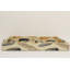 Plateau de service rectangulaire beige 16 po
