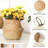 Bay Isle Home™ Dajerin Seagrass Decorative Basket
