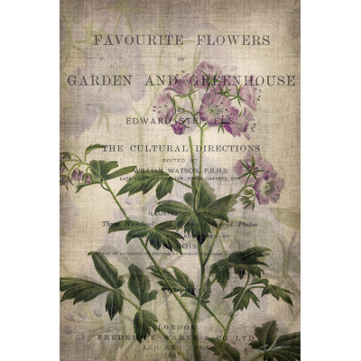 Fleurs préférées IV