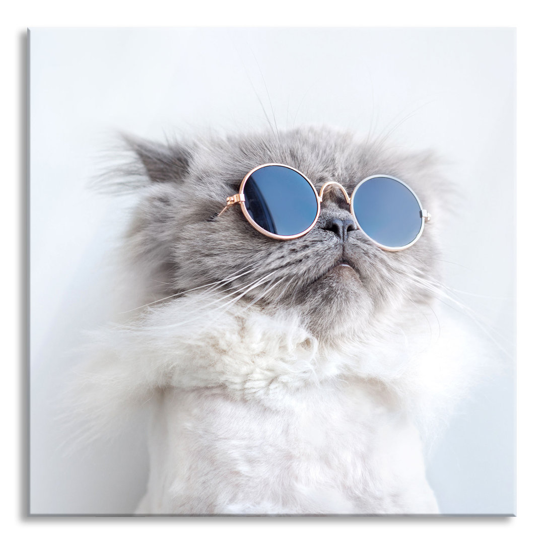 Glasbild Coole Katze mit runder Sonnenbrille