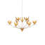 Paradiso 9 - Light Chandelier