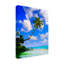«Sanibel Island» par Jack Reed - photographie sur toile tendue-1285128365