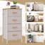 Riella 45 cm W Chest of 4 Drawers