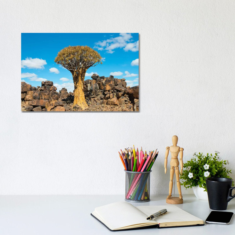 Quiver Trees And Rock Piles In Kalahari Desert, Karas Region, Namibia by Keren Su - Wrapped Canvas Print