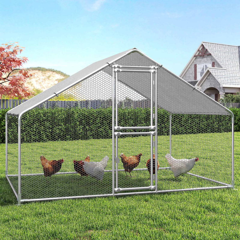Cyril Walk In Chicken Run, 193cm H x 300cm W x 200cm D